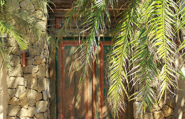 Tamu Seseh - Photo 38