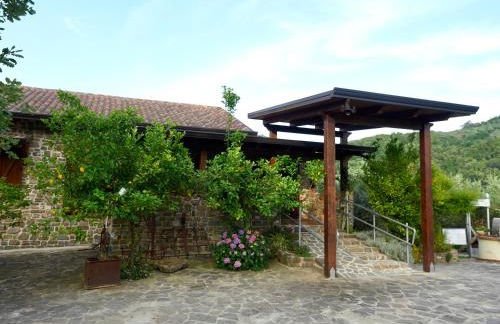 Il Vecchio Frantoio - Foto 78