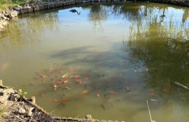 Le Chalet Cavronnais - Foto 15