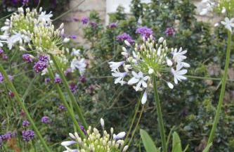 Greystones Lodge - Foto 23