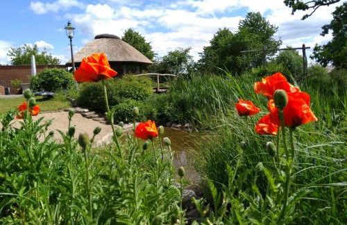 Landtraum im Traumland Mecklenburg - Foto 14