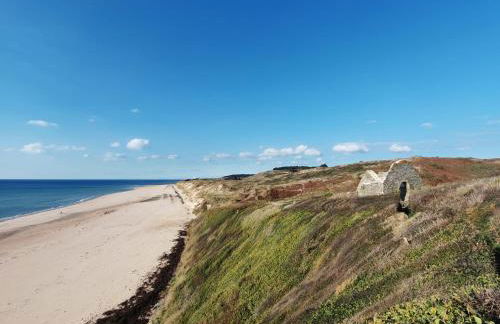 Les Sternes - Foto 59