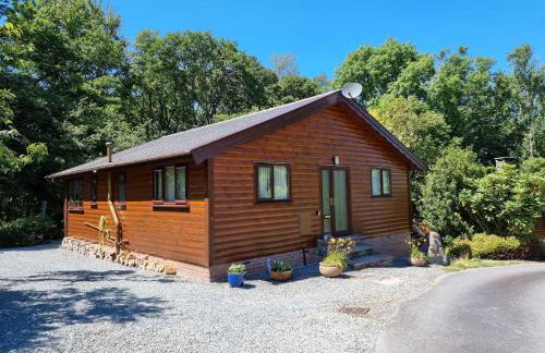 Luxury Wood Lodge with sauna, log burner & private woodland garden - Wnion Wood Lodge - Foto 34