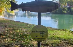 Pure Vista Hank Schwarzwaldblick - Foto 43