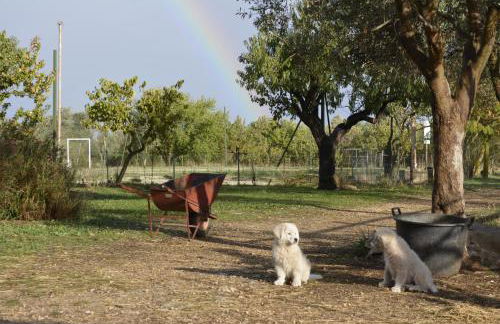 Agriturismo Poggio Ferrata - Foto 30