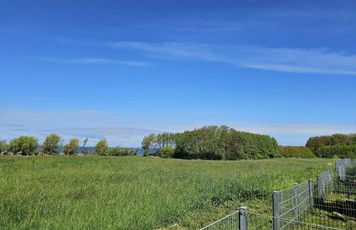 Hof am Meer "Seestern" - Foto 29