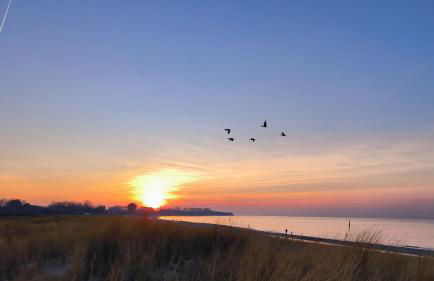 Ferienwohnung OstseeBlick Rerik - Foto 36