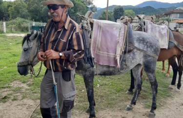 Studio Wilem - Foto 52