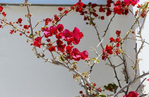 Sunny Penthouse For balcony lovers - Foto 4