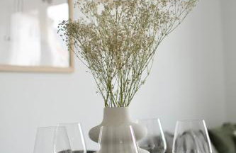 Apartmani Rajković - Foto 15