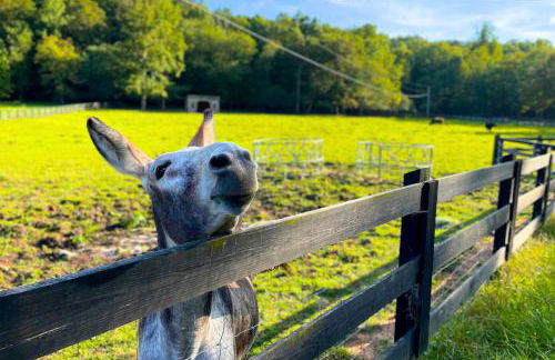 Meadow Retreat - Hot Tub, Fire Pit & Games - Photo 50