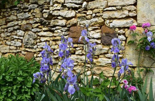 Holiday home with private garden - Foto 26