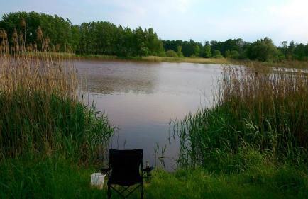 Neukalener Stadthaus Zum Alten Schmied - Foto 21