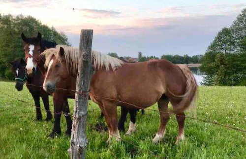 Zakątek na Mazurach I Kalinowo, Romoty - Foto 43
