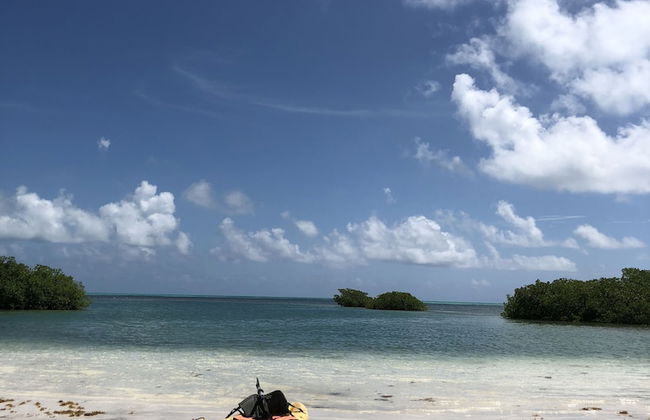 Shaka Caye - Photo 31