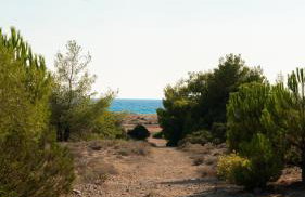 Goldener Strand 3-4 - Foto 15