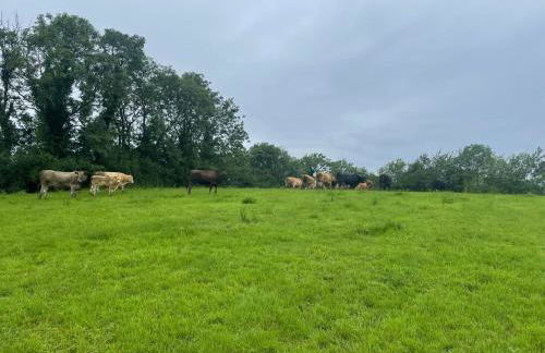 Minnie’s Cottage - Foto 36