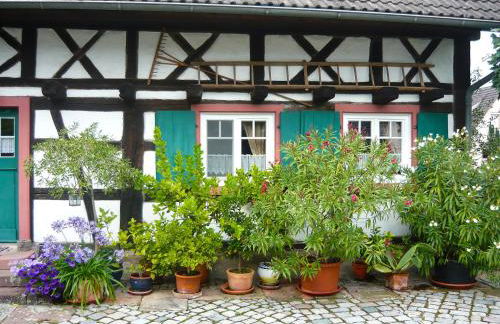 Holiday Home Haus Schwärzel by Interhome - Foto 30