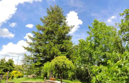 Borgo Petraio - Foto 29