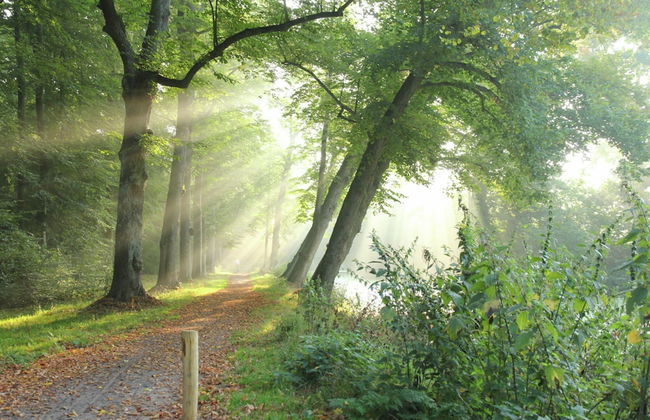 Holiday Home Bergen Near Forest & Beach - Foto 19