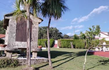 LA CAMELIA - Foto 41