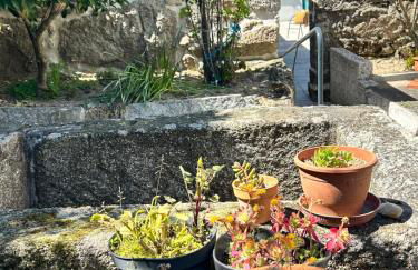 Casa de Miguel Chôco - Foto 18