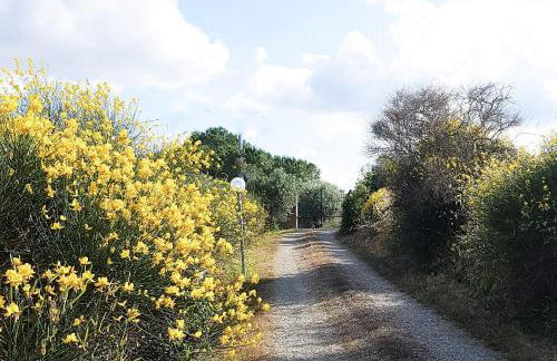La Masseria Casa Vacanze - Foto 14