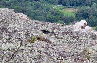 Lula Lake Cabin - Foto 6