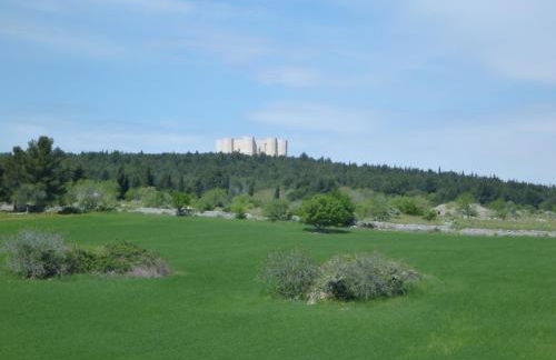 Chez-Antoinette - Foto 68