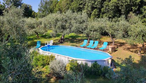 Il Fienile del Colle - Foto 5