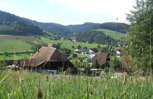 Sonniges-naturnahes-Schwarzwald-Ferienhaeuschen - Foto 17
