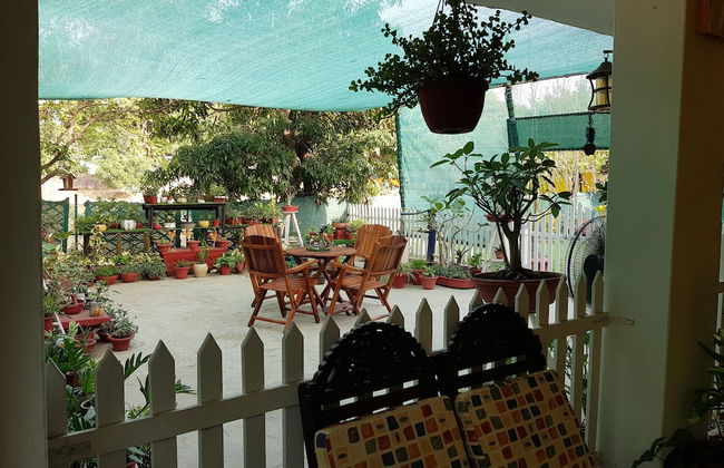 Koko's Farm - Foto 28