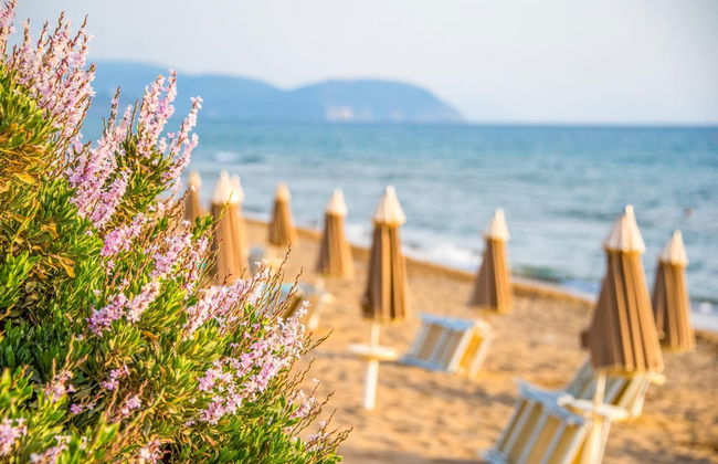 Villetta Large Morellino 4 pax - Foto 15