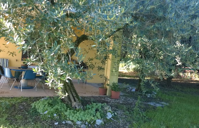 Farmhouse Paradiso - Foto 34