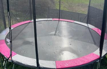 Gîte Le Cottereau , à 5 minutes du Zoo Parc de Beauval - Photo 32