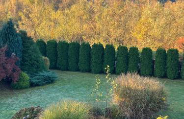 LAWENDOWA PRZYSTAŃ - dom nad rzeką - Brenna, 10 osób, sauna, balia z jacuzzi, ogród, plac zabaw - Foto 52