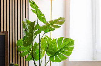 Cinnamon LakeHouse - Foto 30