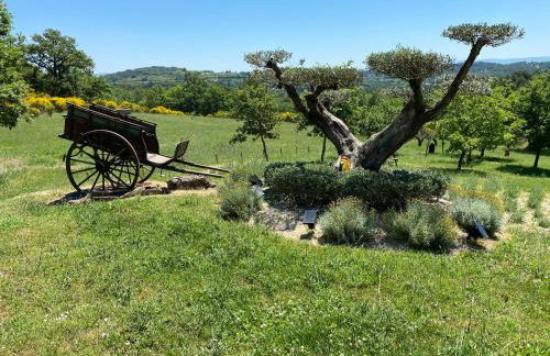 Location bastide provencale Luberon - Foto 38
