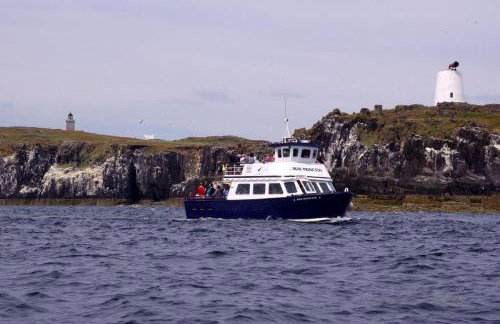 Kinneuchar Cottage - by Elie, Dog Friendly. - Foto 27