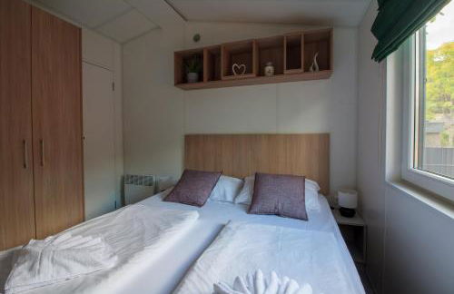 Iguana - Das Tiny Haus am Reptilienzoo Reptilium - Foto 4