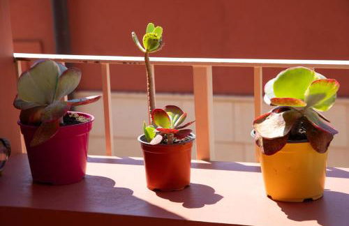 Vista Mare 16 - Foto 19