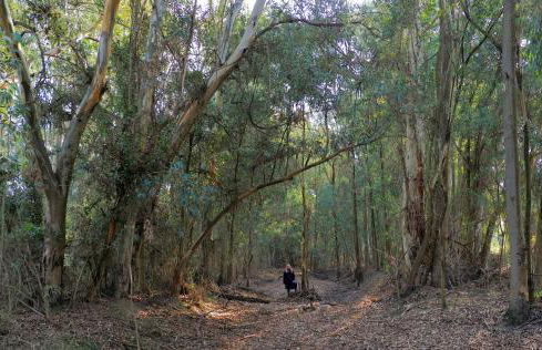 La Casa de Oti playa Mazagón vistas al mar - Foto 21