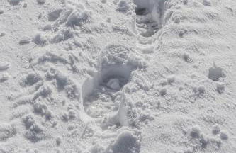 Ferienwohnung Im Weiler, 70 Qm - Foto 27