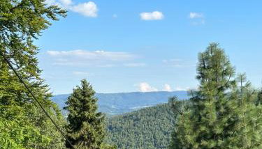 Domek na Polance - Foto 2