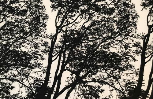 Appartement Elsa Valencia - Photo 33