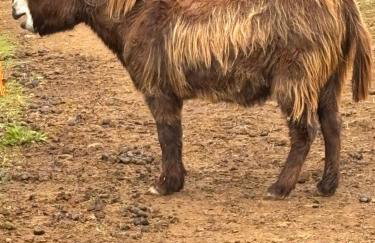 Two bedroom Holiday Home with countryside view - Foto 26