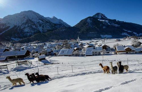 Alpakahof Wechs - Foto 33