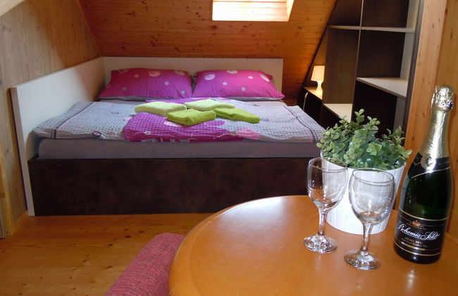 Apartmany Vlčková - Photo 14