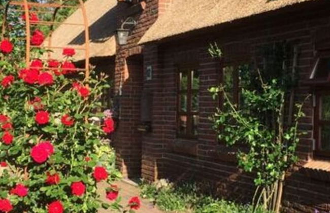 Holiday Apartment Ebbe - Foto 20