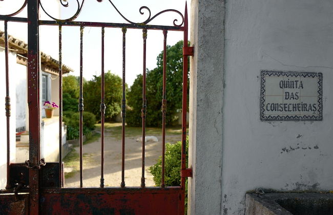 Arrábida Heritage - Photo 25